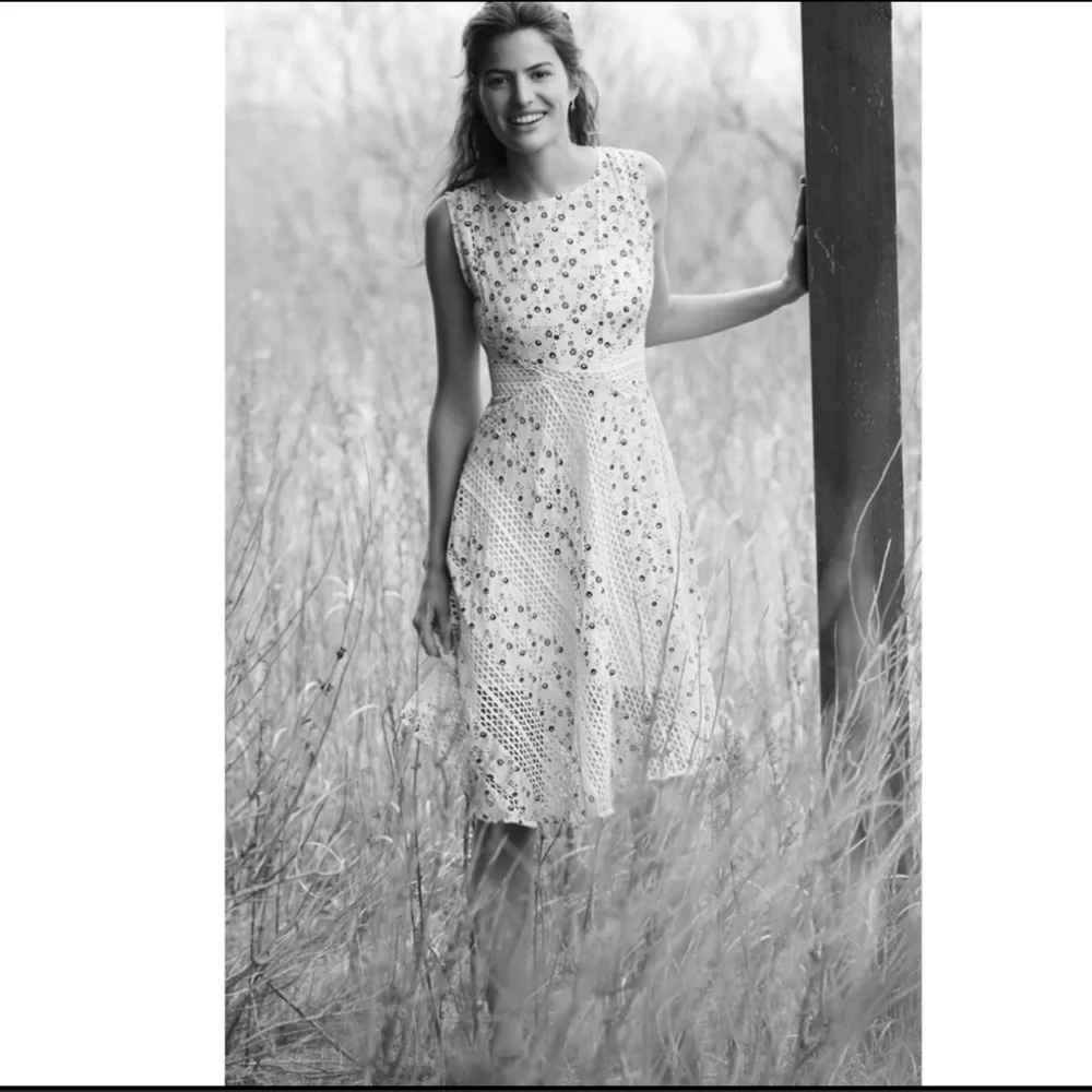 Anthropologie Windswept Lace Dress NWT SZ 12P (Large) - Picture 2 of 8